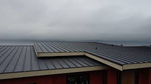 Best Emergency Roof Repair Services  in Cottonwood, MN